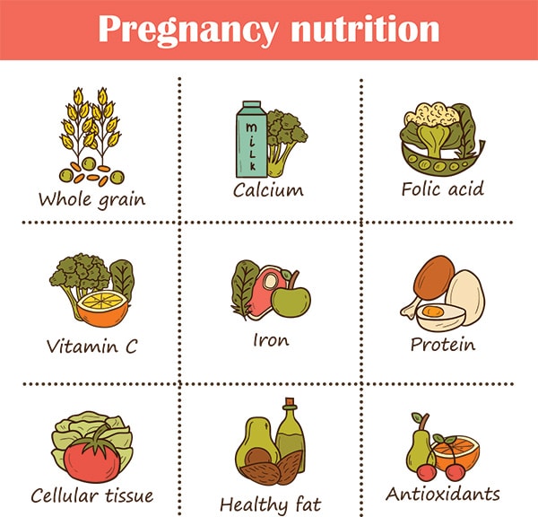 Pregnancy-nutrition