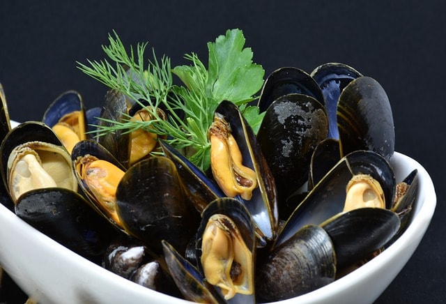 Mussels While Pregnant