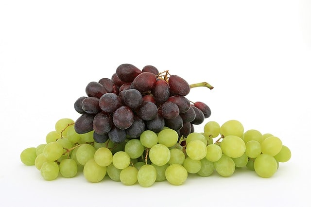 Eating Grapes During Pregnancy